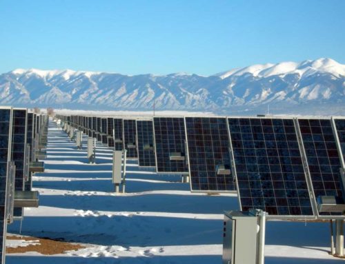 How Businesses Can Further the Development of Renewable Energy